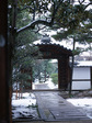 CR198_L.jpg